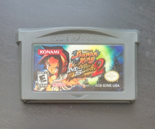 Shaman king master - shaman, spirits