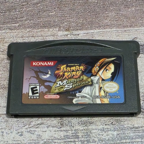 Shaman king master - shaman, spirits