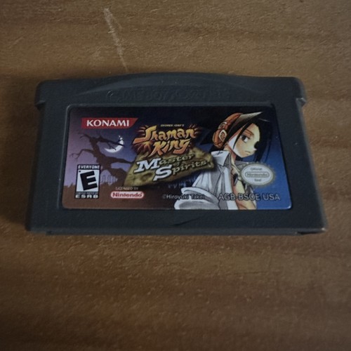 Shaman king master - master, spirits
