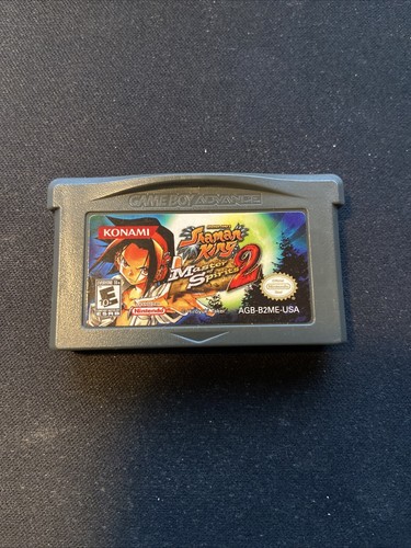 Shaman king master spirits - master, of